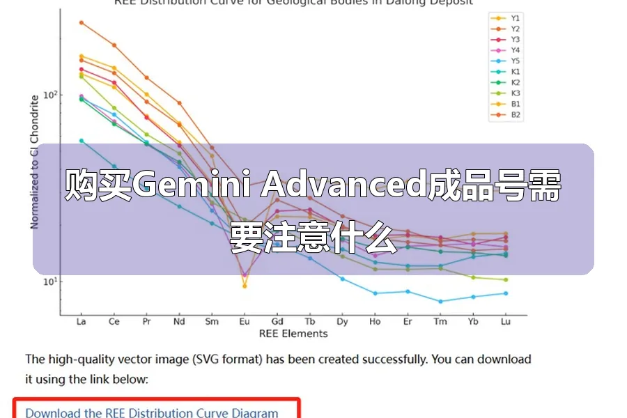 购买Gemini Advanced成品号需要注意什么